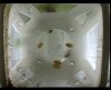 [fish_flt_d3_hr04_c05.jpg]