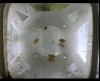 [fish_flt_d3_hr09_c05.jpg]