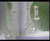 [fish_grnd_d6_hr17_c06.jpg]