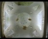 [fish_flt_d7_hr02_c05.jpg]