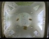 [fish_flt_d9_hr07_c05.jpg]