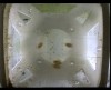 [fish_flt_d10_hr12_c05.jpg]