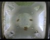 [fish_flt_d11_hr01_c05.jpg]