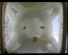 [fish_flt_d11_hr02_c05.jpg]