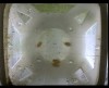 [fish_flt_d11_hr03_c05.jpg]