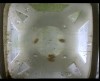 [fish_flt_d11_hr05_c05.jpg]