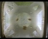 [fish_flt_d11_hr06_c05.jpg]