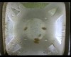 [fish_flt_d11_hr07_c05.jpg]
