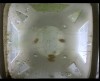 [fish_flt_d11_hr08_c05.jpg]