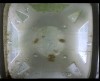 [fish_flt_d11_hr12_c05.jpg]