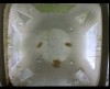 [fish_flt_d11_hr13_c05.jpg]