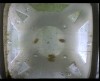 [fish_flt_d11_hr14_c05.jpg]